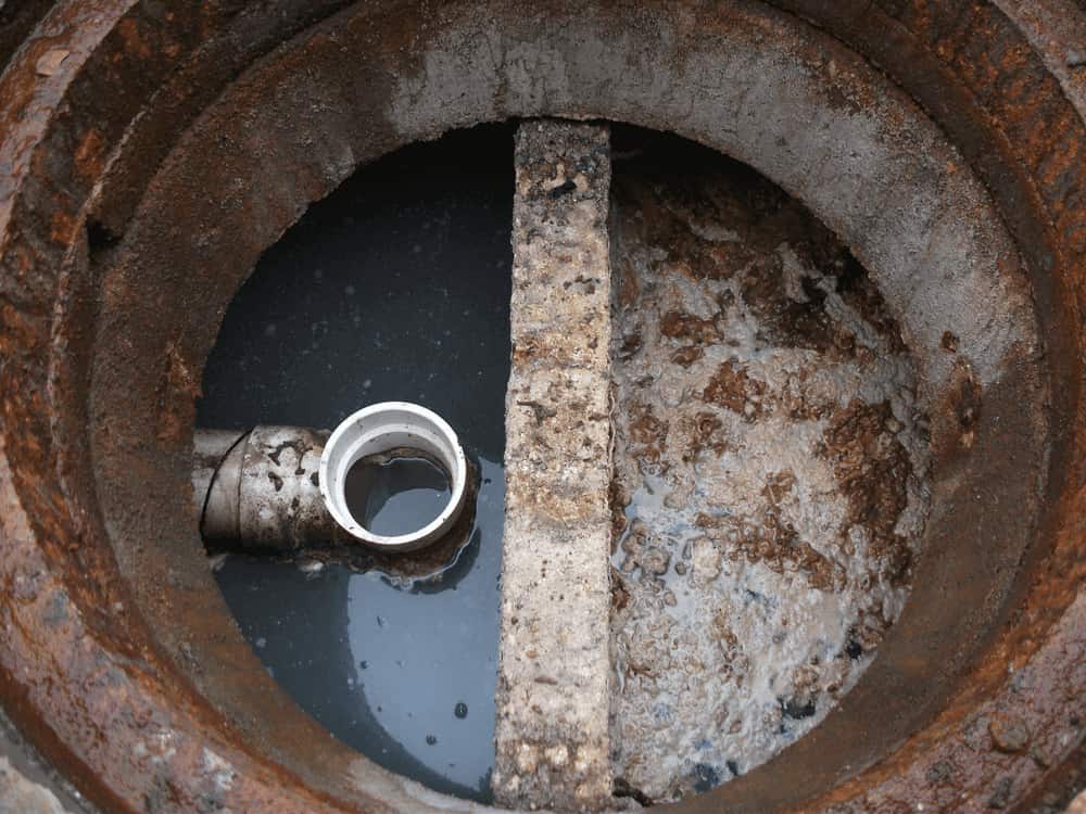 ¿Cómo limpiar una trampa grasa rápido? Guía completa