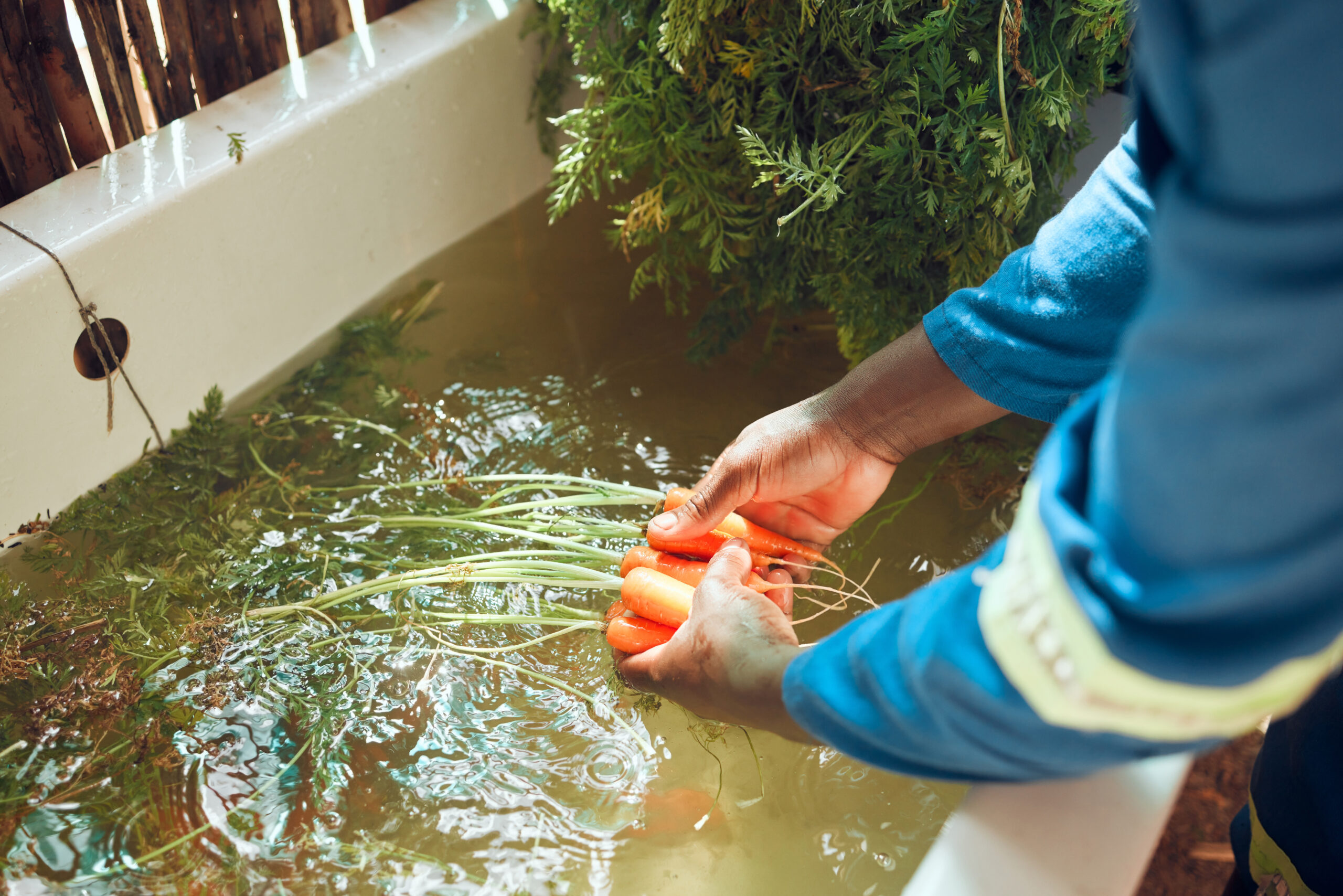 Cuántos tratamientos de aguas grises hay Una Guía Completa para Panameños