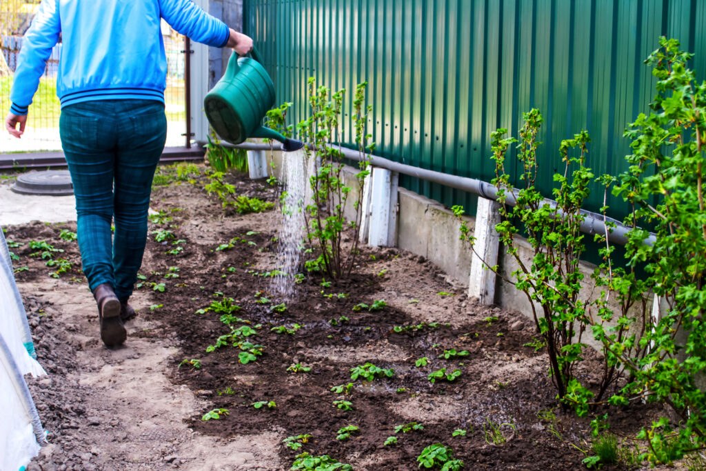 Beneficios de la reutilización de aguas grises en jardines para ti