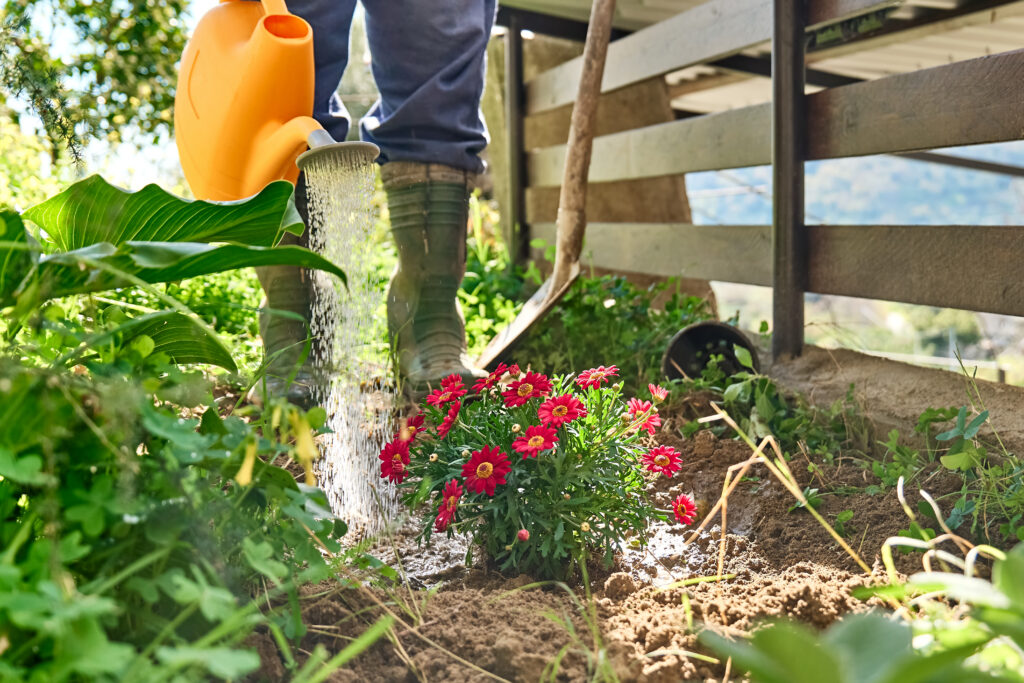 Recomendaciones finales para un jardín sostenible en Panamá