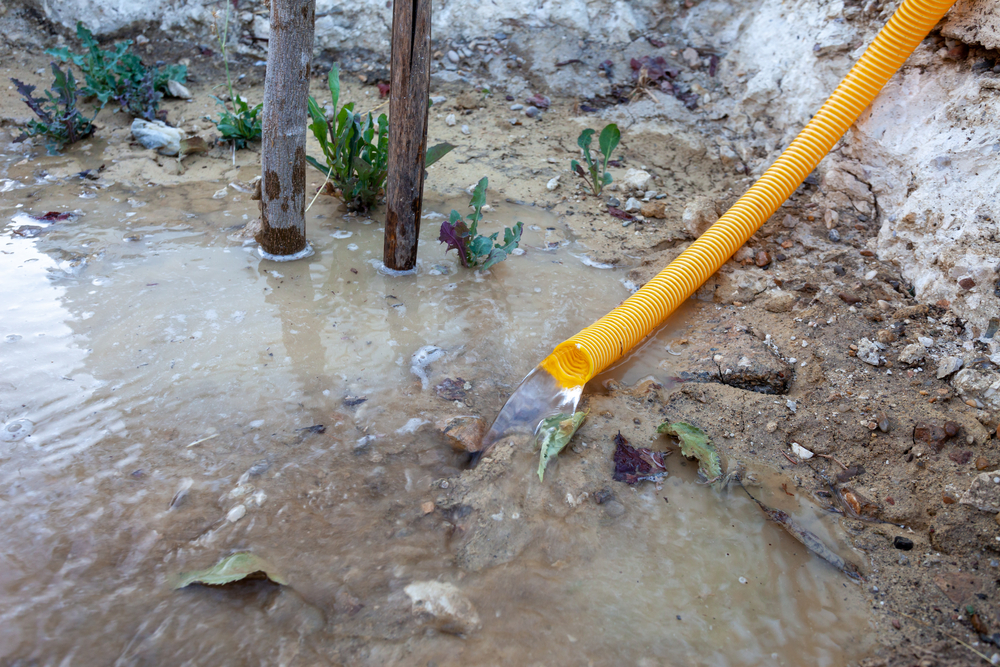 Comprendiendo los Lodos Sépticos