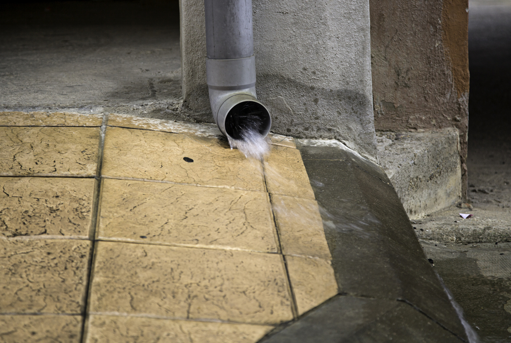 Prevención Antes de que el Problema Aparezca