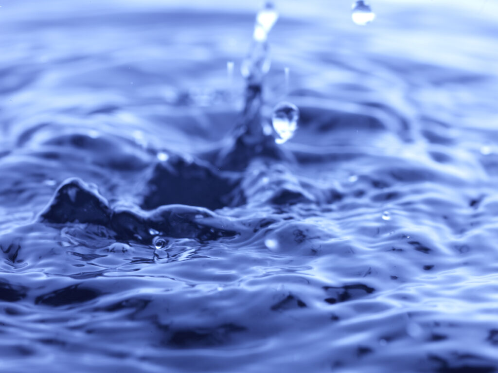 Uso eficiente del agua y manejo de electrodomésticos